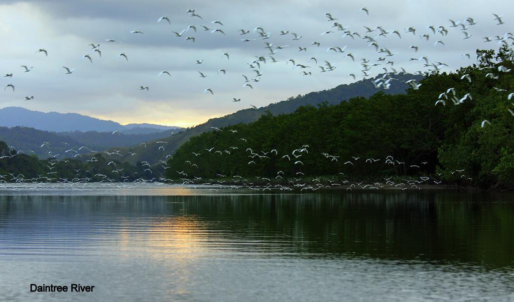 Daintree Riverview Lodges Buitenkant foto