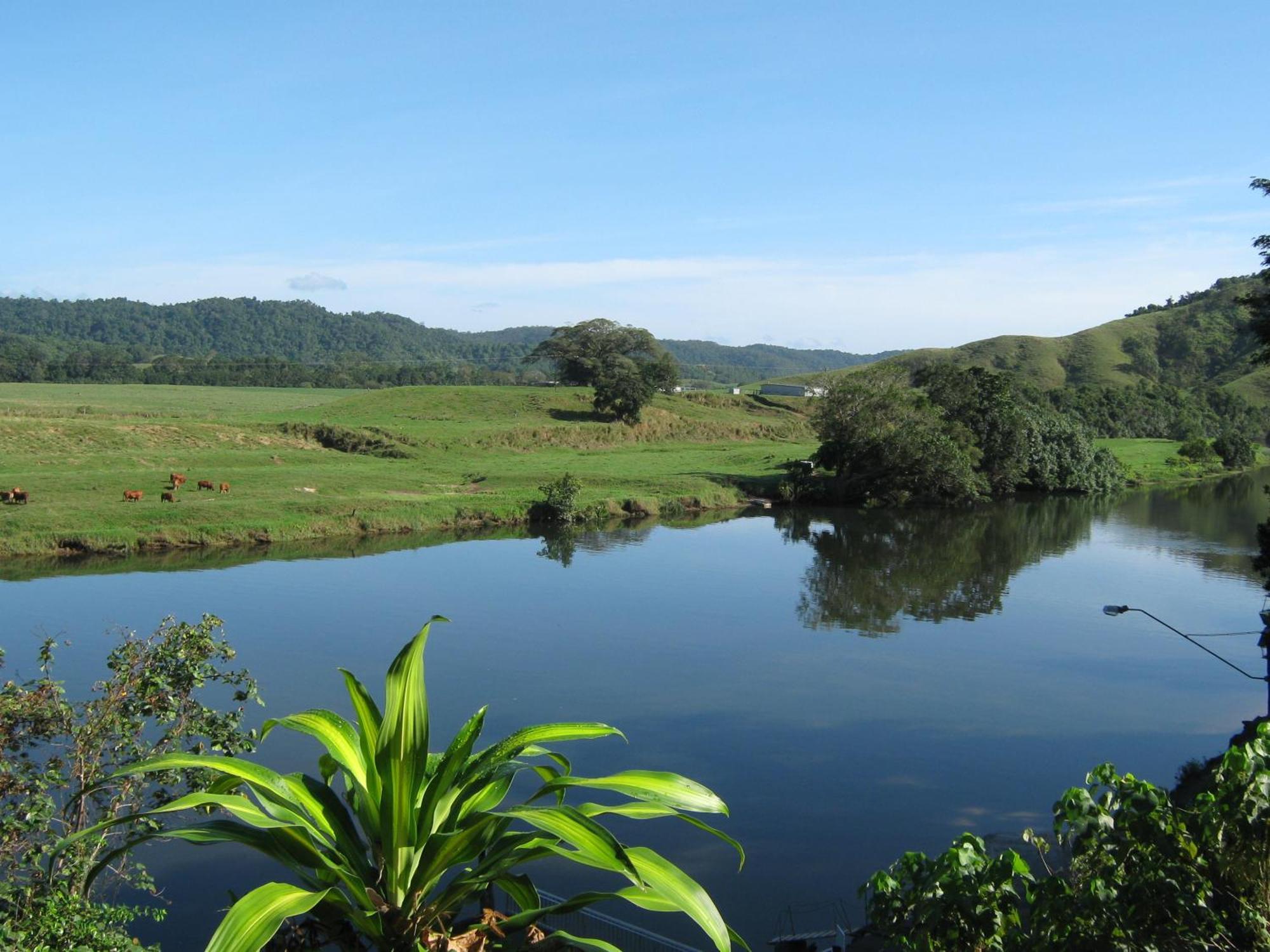 Daintree Riverview Lodges Buitenkant foto