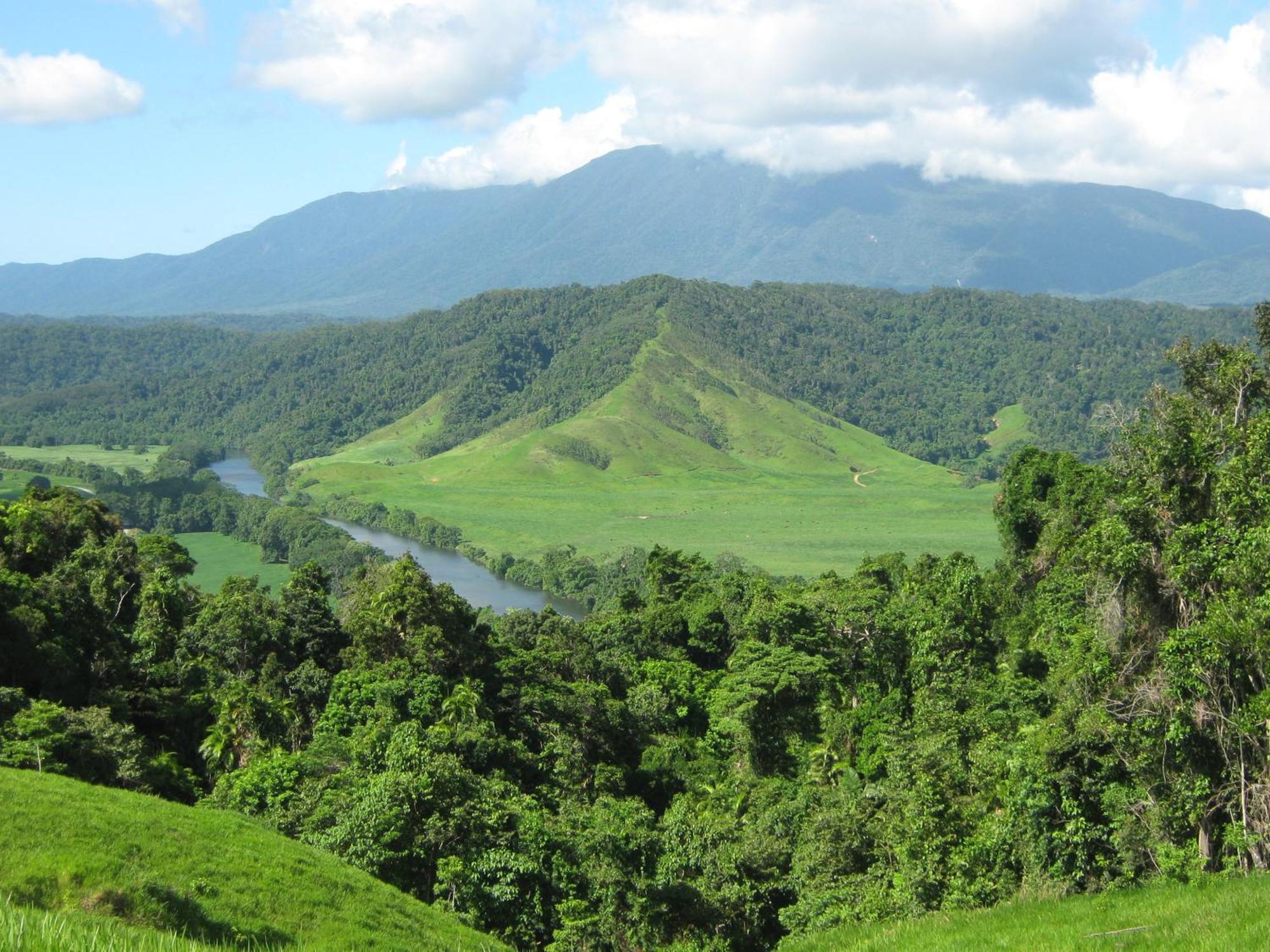 Daintree Riverview Lodges Buitenkant foto