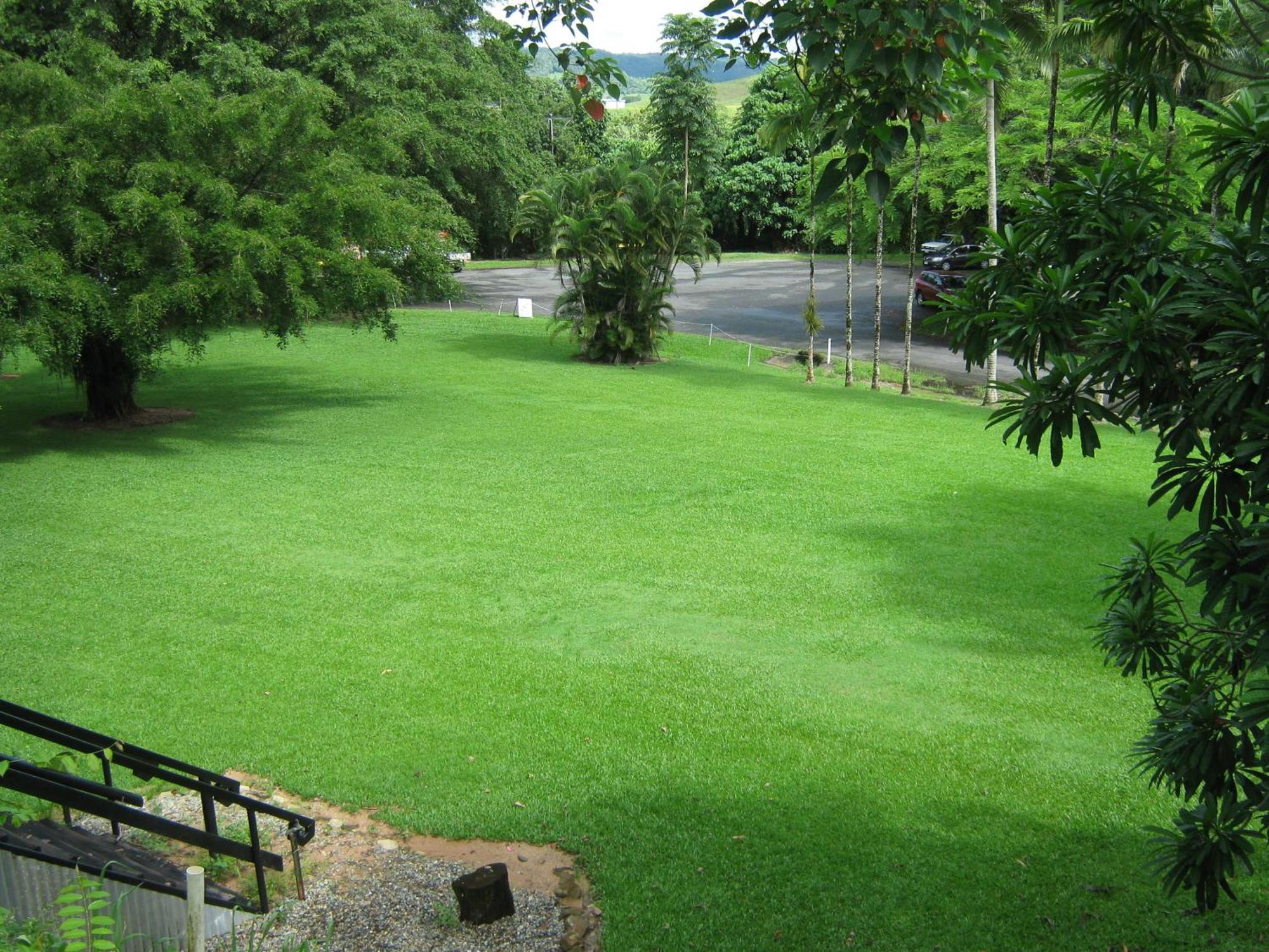 Daintree Riverview Lodges Buitenkant foto