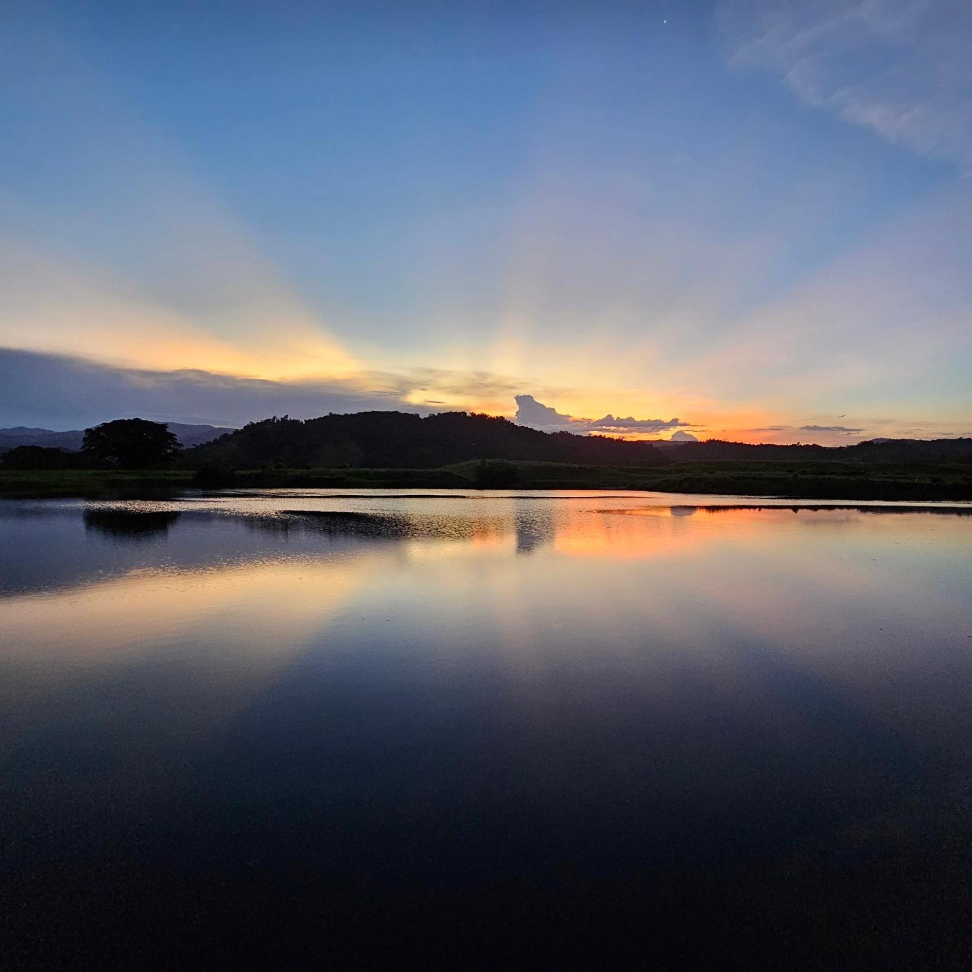 Daintree Riverview Lodges Buitenkant foto