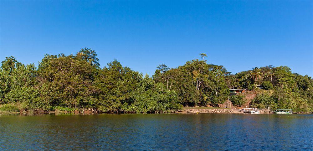 Daintree Riverview Lodges Buitenkant foto
