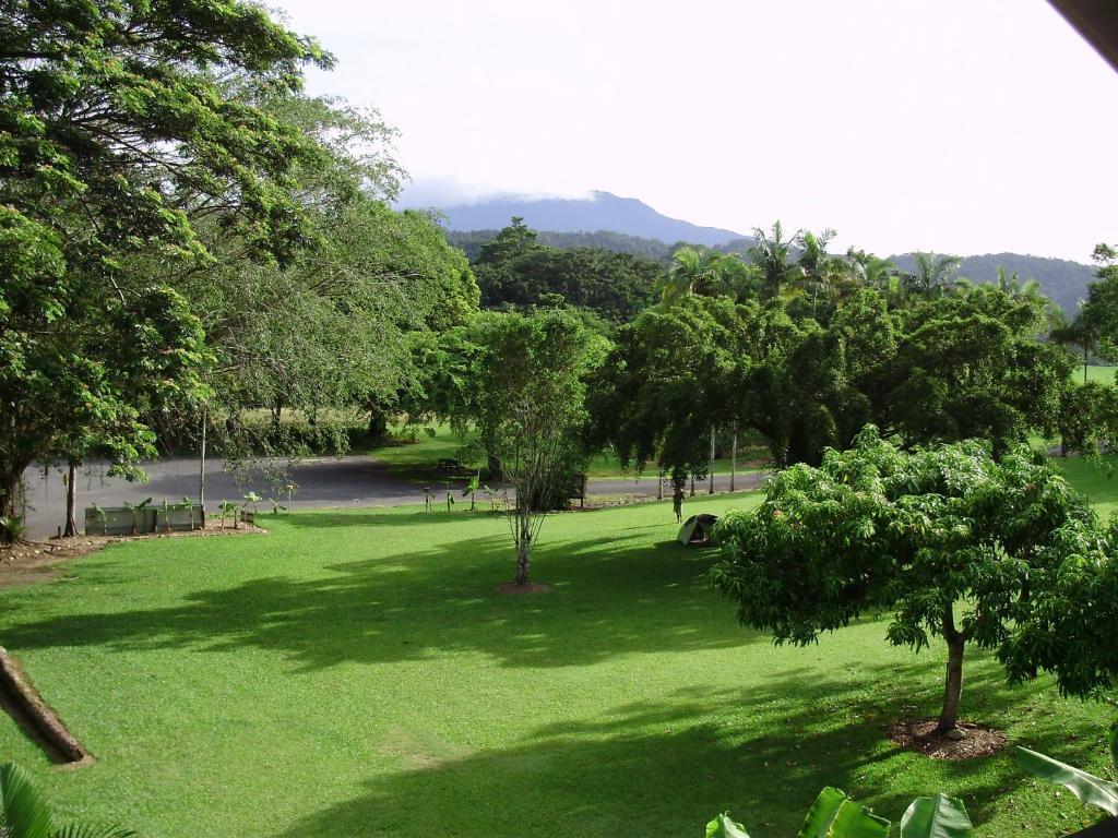 Daintree Riverview Lodges Buitenkant foto