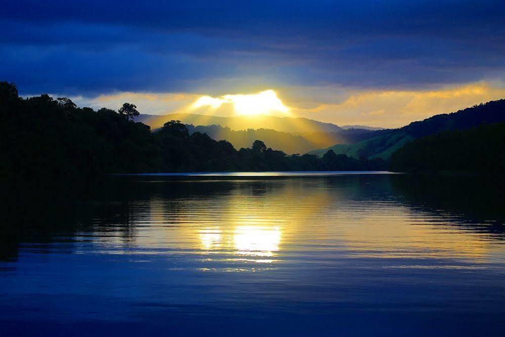 Daintree Riverview Lodges Buitenkant foto